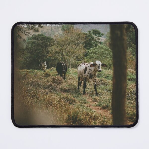 Item preview, Cows Portrait designed and sold by anafrancisconi.