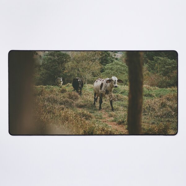 Vista previa del artículo con la obra «Retrato de vacas», diseñado y vendido por anafrancisconi.