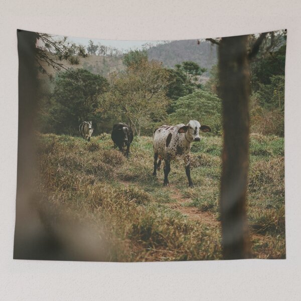 Item preview, Cows Portrait designed and sold by anafrancisconi.