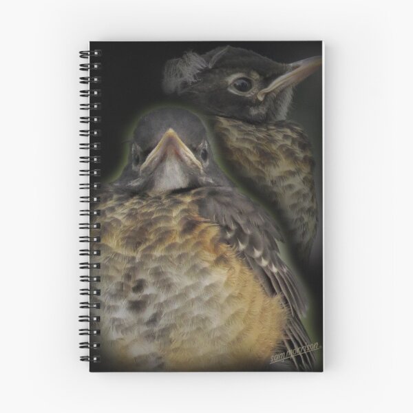 Item preview, Baby Robin Portrait - The Vicksburg Collection designed and sold by Sam Morrison.