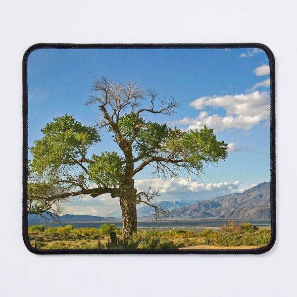 Item preview, Owens Valley, CA. designed and sold by Erwin G. Kotzab.