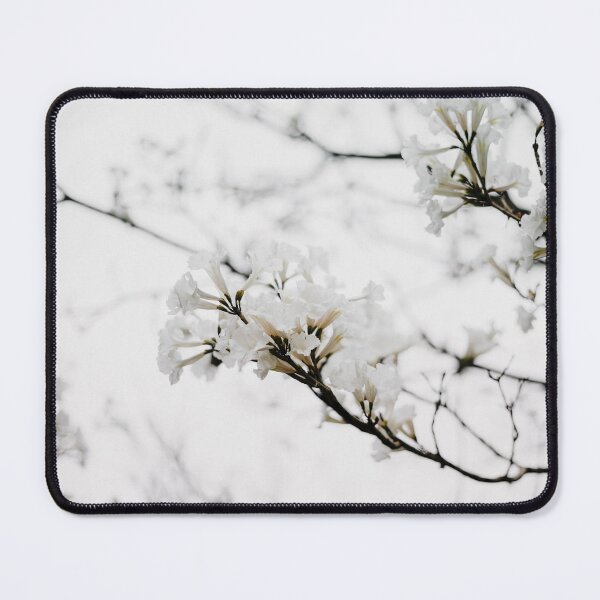 Item preview, Tabebuia roseo-alba - Ype Branco #1 designed and sold by anafrancisconi.