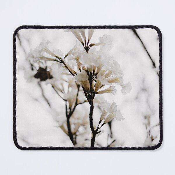 Artikelvorschau, Tabebuia roseo-alba - Ype Branco #2 entworfen und verkauft von anafrancisconi.