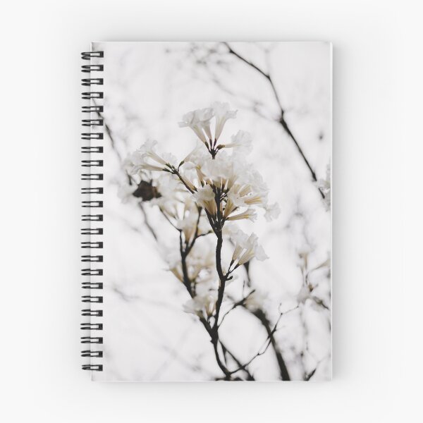 Item preview, Tabebuia roseo-alba - Ype Branco #2 designed and sold by anafrancisconi.