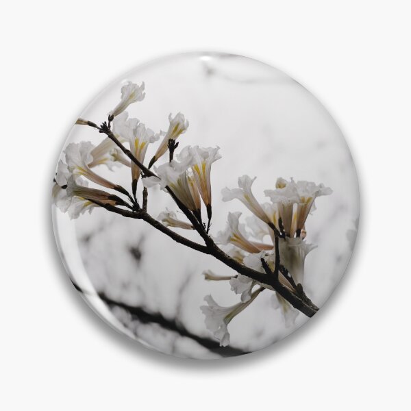 Item preview, Tabebuia roseo-alba - Ype Branco #3 designed and sold by anafrancisconi.
