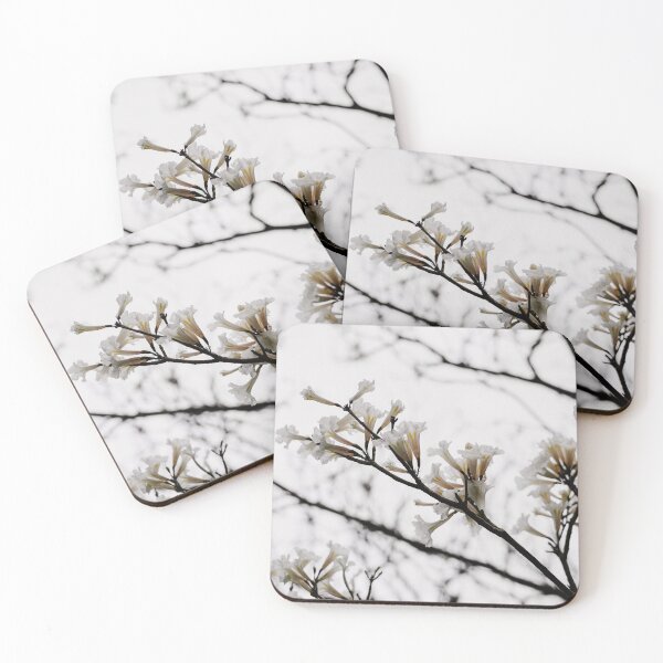 Item preview, Tabebuia roseo-alba - Ype Branco #3 designed and sold by anafrancisconi.