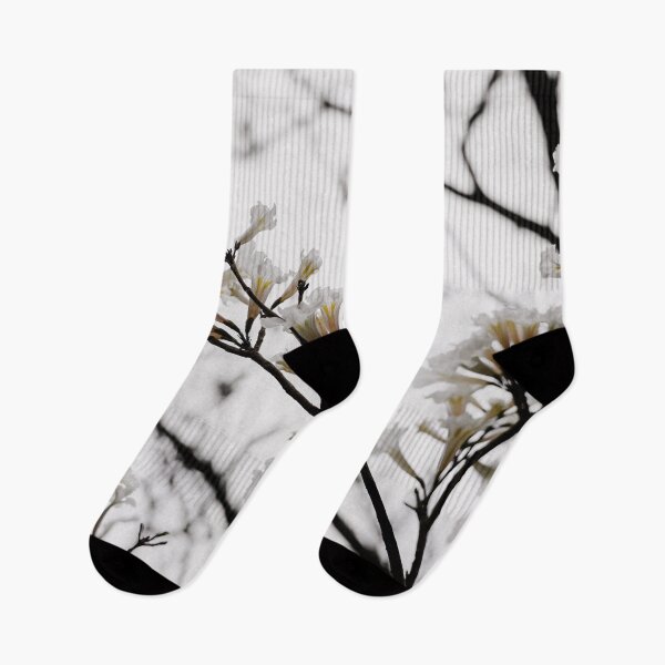 Item preview, Tabebuia roseo-alba - Ype Branco #3 designed and sold by anafrancisconi.