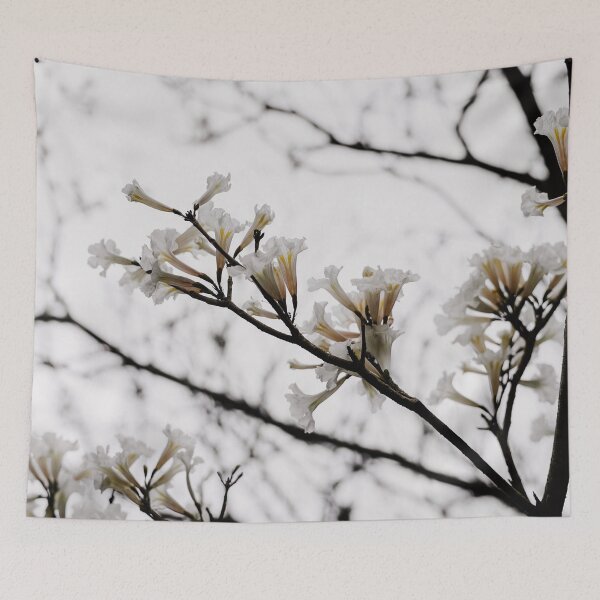 Item preview, Tabebuia roseo-alba - Ype Branco #3 designed and sold by anafrancisconi.