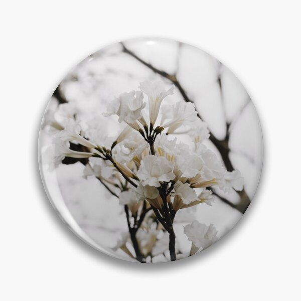Item preview, Tabebuia roseo-alba - Ype Branco #4 designed and sold by anafrancisconi.