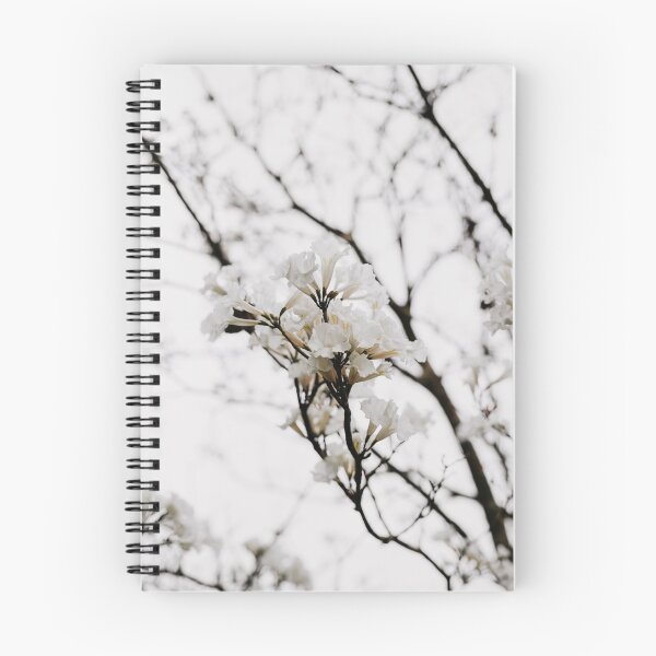 Item preview, Tabebuia roseo-alba - Ype Branco #4 designed and sold by anafrancisconi.