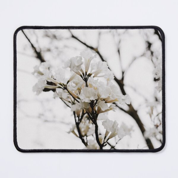 Item preview, Tabebuia roseo-alba - Ype Branco #4 designed and sold by anafrancisconi.