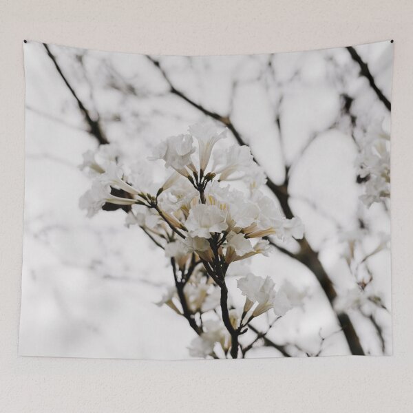Item preview, Tabebuia roseo-alba - Ype Branco #4 designed and sold by anafrancisconi.
