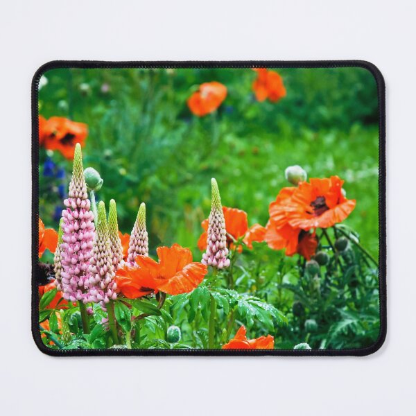 Item preview, summer designed and sold by Erwin G. Kotzab.