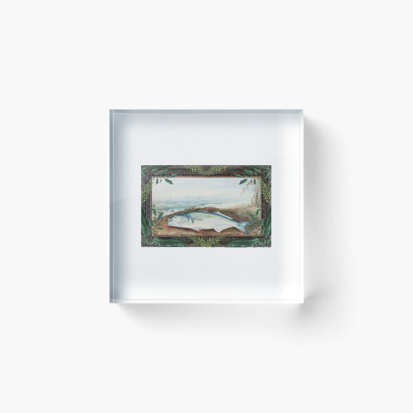 Item preview, Zoological board Sprat - Zoological conceptions and zoology boards designed and sold by AdvanceDesign.