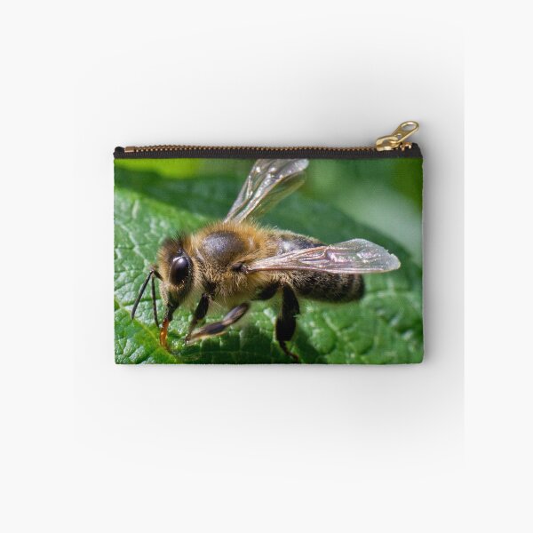 Item preview, Maya the Bee designed and sold by Wizi-Top.