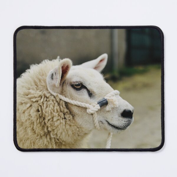 Item preview, Olive the Pet Sheep designed and sold by thegreendogs.