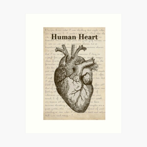 Anatomical human heart acrylic painting 8x8 inch fine art print