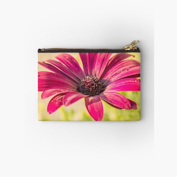 Item preview, African Daisy designed and sold by Allport Photography.