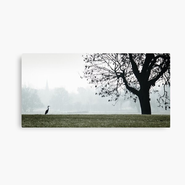 Heron on Westbridge Park Canvas Print
