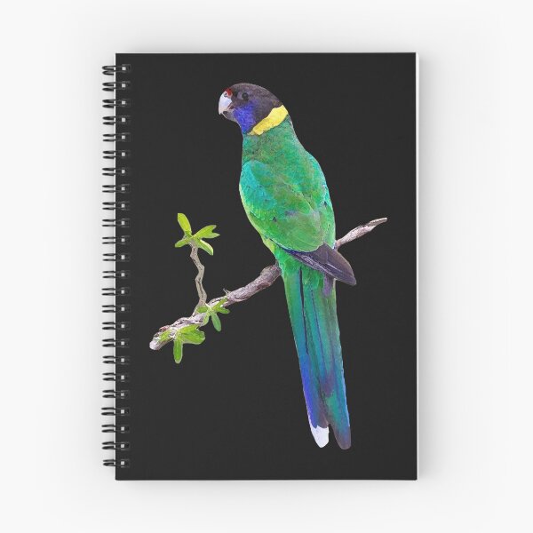 Item preview, A is for Australian Ring Necked Parrot Gear designed and sold by AmazingBubble.