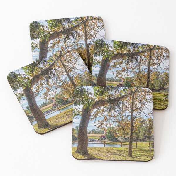 Item preview, Cool Tree At Dillard Mill designed and sold by mljdwhite.