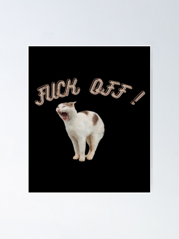 ANGRY CAT GLOSSY POSTER PICTURE PHOTO kitten kitties cute funny