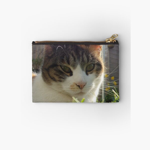 Item preview, Condescending Cat designed and sold by Scott Shelton.