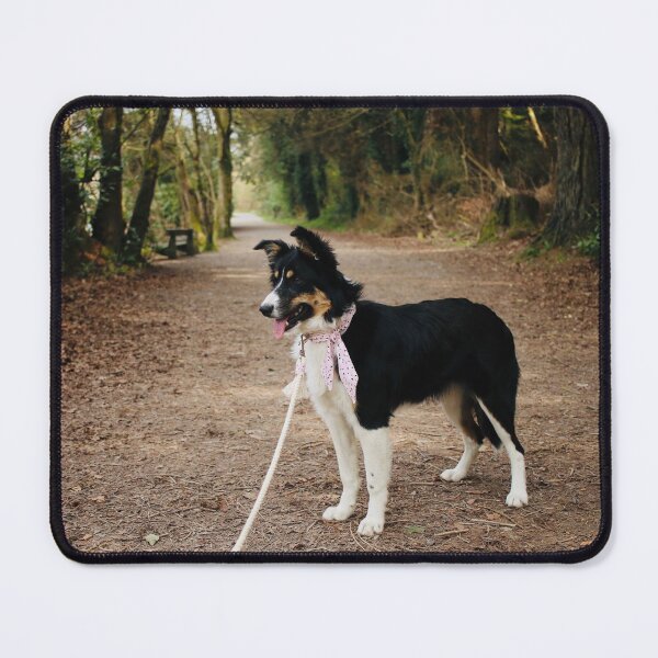 Item preview, Susan on the Path designed and sold by thegreendogs.