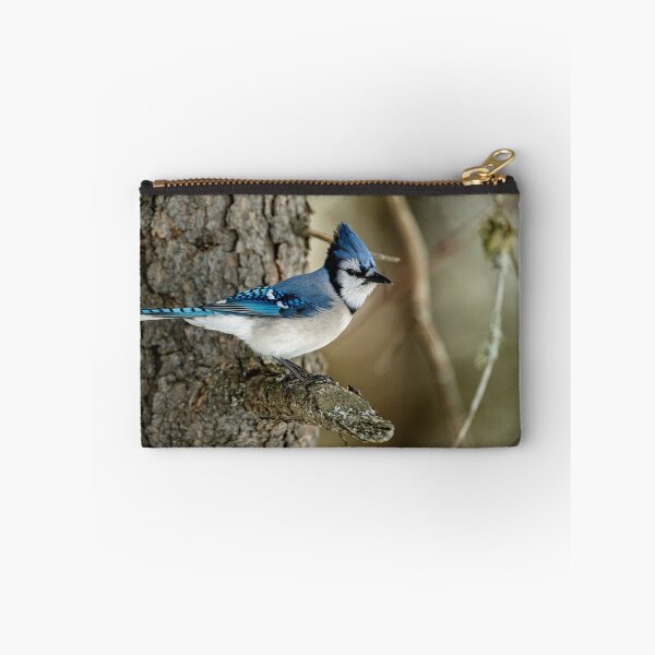 Artikelvorschau, Blue Jay entworfen und verkauft von Michael Cummings.