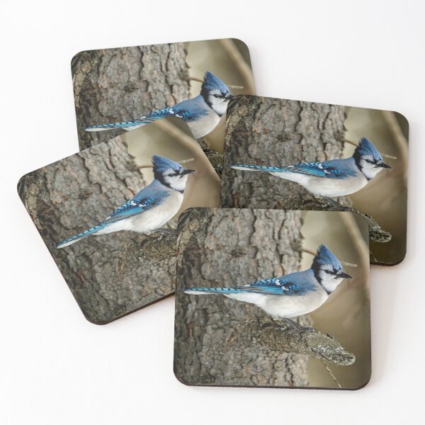 Artikelvorschau, Blue Jay entworfen und verkauft von Michael Cummings.