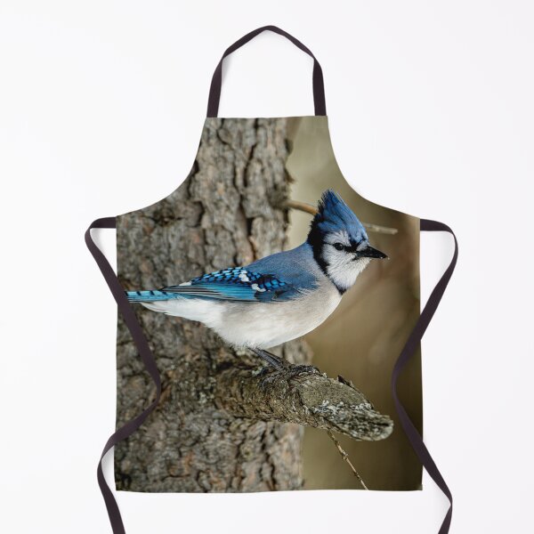 Artikelvorschau, Blue Jay entworfen und verkauft von Michael Cummings.