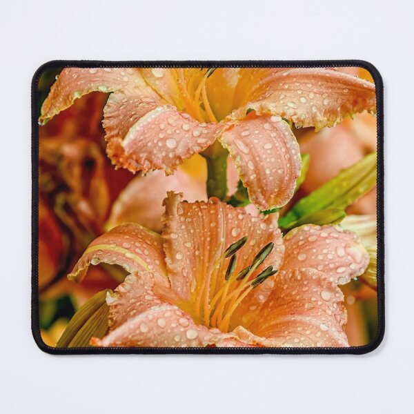 Item preview, Daylily "Tangering Horses" designed and sold by Michael Cummings.