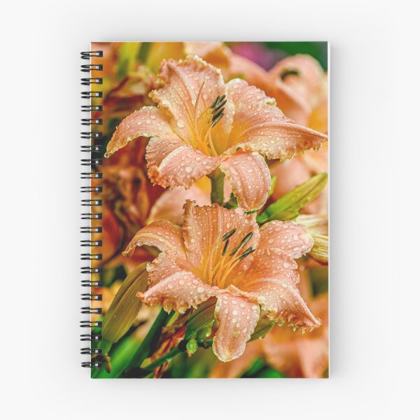 Item preview, Daylily "Tangering Horses" designed and sold by Michael Cummings.