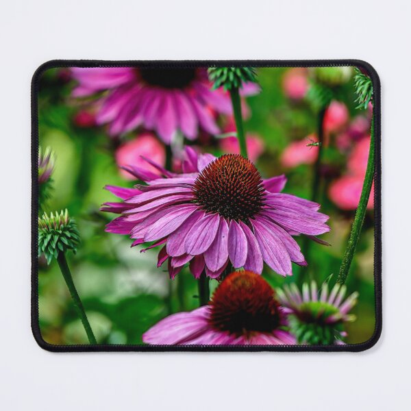 Item preview, Purple Cone Flower designed and sold by Michael Cummings.
