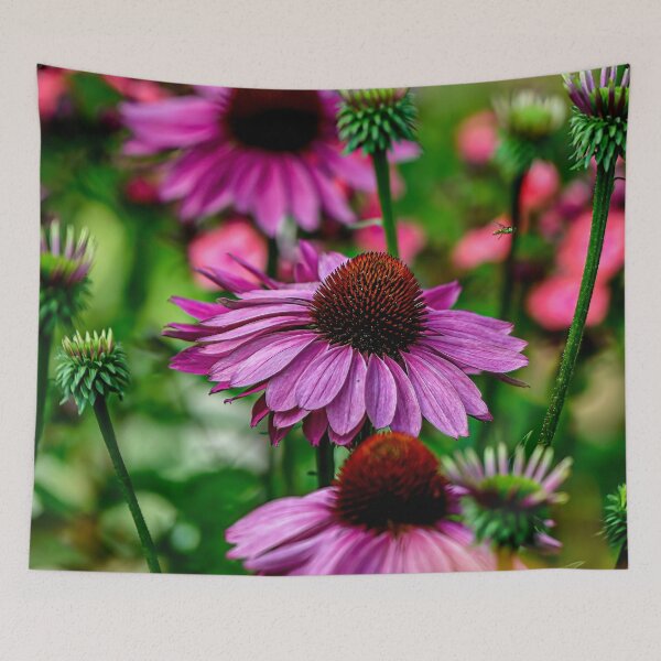 Item preview, Purple Cone Flower designed and sold by Michael Cummings.