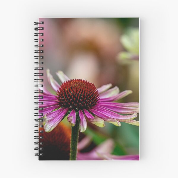 Item preview, Echinacea "Green Twister" designed and sold by Michael Cummings.