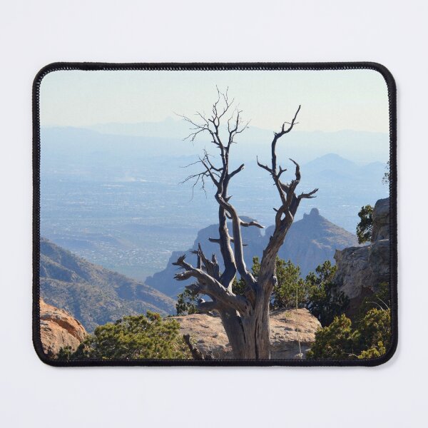 Item preview, Twisted Tree designed and sold by Drgnfly4free.