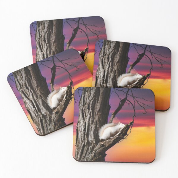 Item preview, Twilight Nap White Squirrel designed and sold by Randy Branham.