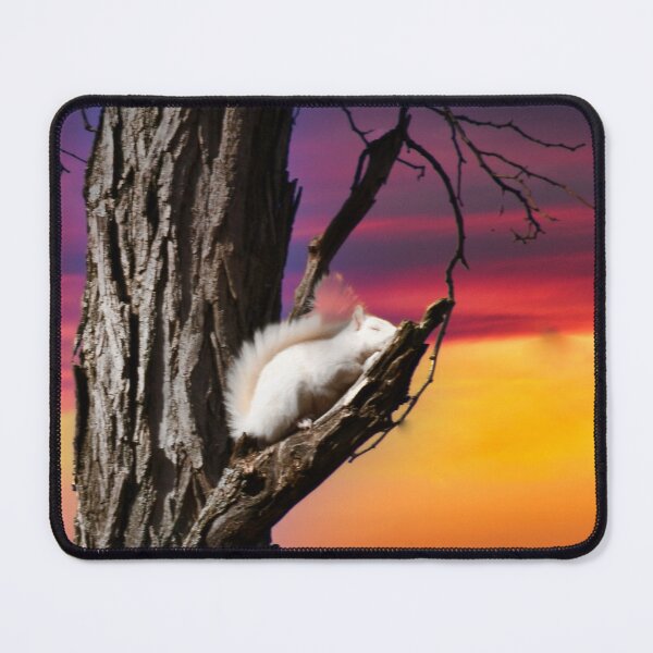 Item preview, Twilight Nap White Squirrel designed and sold by Randy Branham.