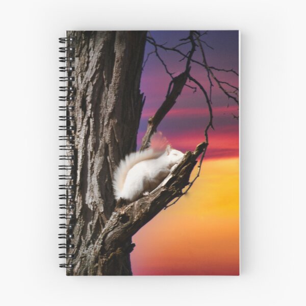 Item preview, Twilight Nap White Squirrel designed and sold by Randy Branham.