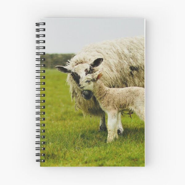 Item preview, A Mule Ewe and Her New Baby designed and sold by thegreendogs.