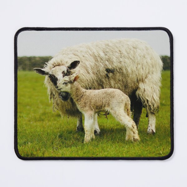 Item preview, A Mule Ewe and Her New Baby designed and sold by thegreendogs.