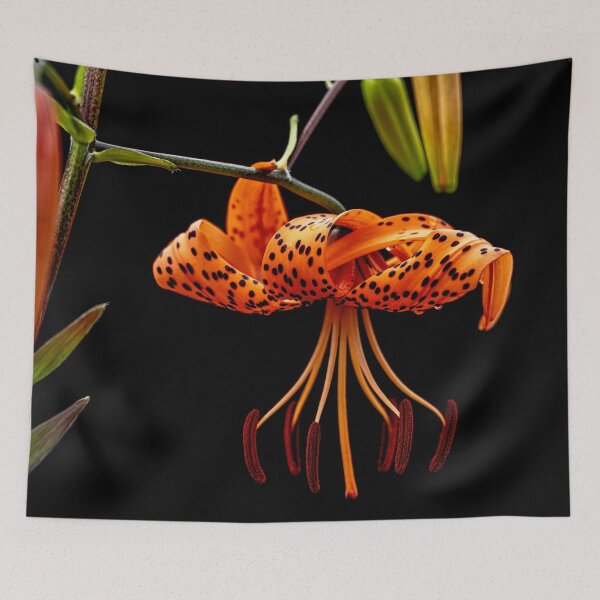 Item preview, Tiger Lily designed and sold by Michael Cummings.
