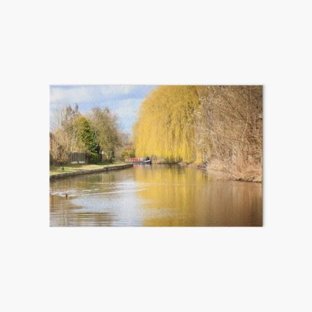 Willow on the Canal Art Board Print