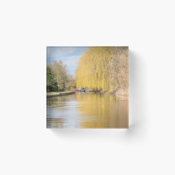 Willow on the Canal Acrylic Block