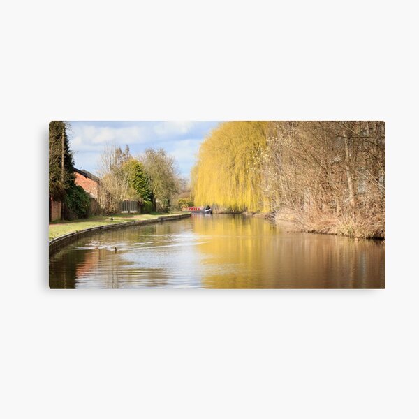 Willow on the Canal Canvas Print