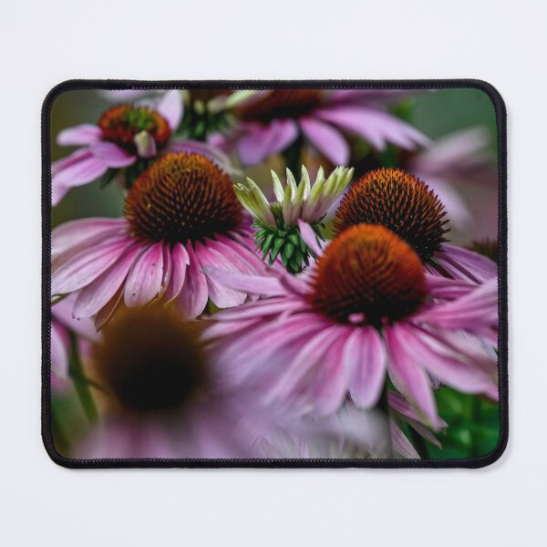 Item preview, One Among Many designed and sold by Michael Cummings.