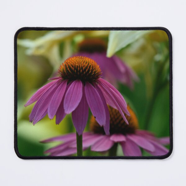 Item preview, Purple Cone Flower designed and sold by Michael Cummings.