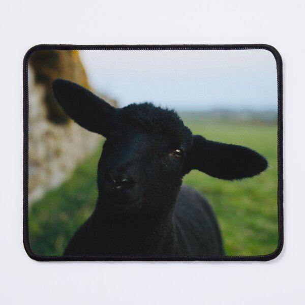 Item preview, Tilly the Pet Lamb designed and sold by thegreendogs.