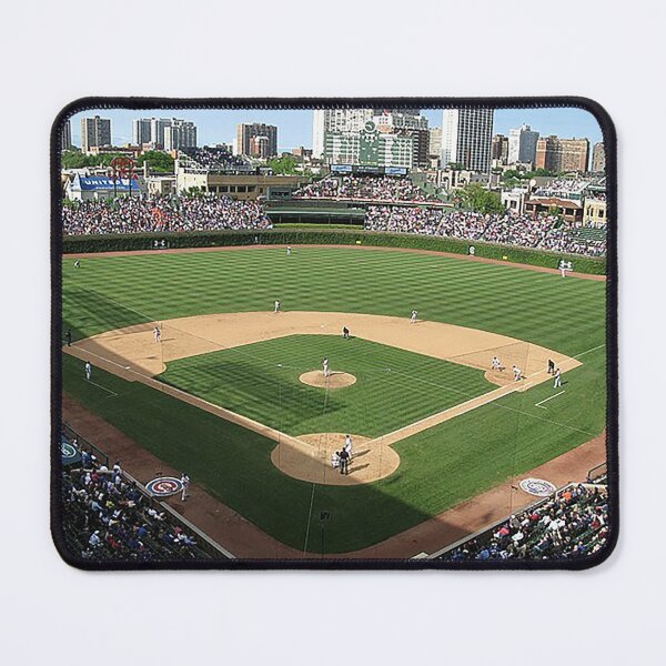 MLB Chicago Cubs Bleacher Cushion
